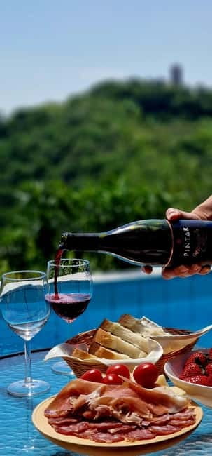 Goriška Brda: Wine Tasting with Local Snacks