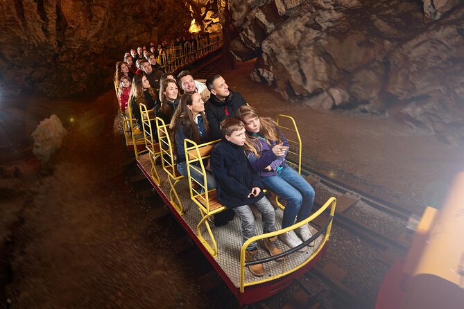 Half day tour to Postojna cave - Private tour from Koper - Is $145.45 per person good value?