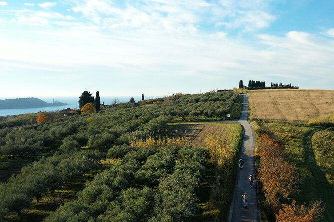 Half Day Vespa Countryside Tour and Tastings in Istria - What the price includes and what it does not