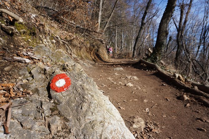 Hiking on the Edge of Ljubljana - The Return Route and Why Poles Help