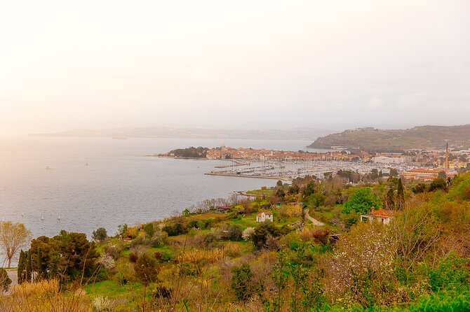 Hop & Taste Slovenian Riviera Hop-On Hop-Off & Local Bites - Starting at Koper’s cruise terminal