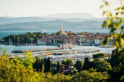 An Unforgettable Day With Fish, Wine and Olive Oil Tasting