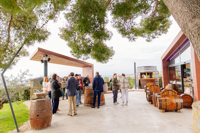 Hop & Taste Slovenian Riviera Hop-On Hop-Off & Local Bites - Weather, walking, and group comfort