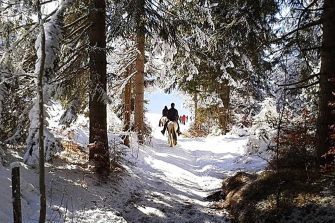 Horse Riding in Bled - Key points to know before you saddle up