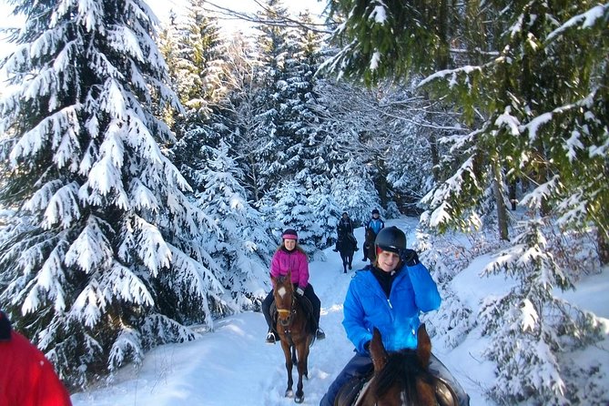 Horse Riding in Bled - Starting beside Bled’s main bus station