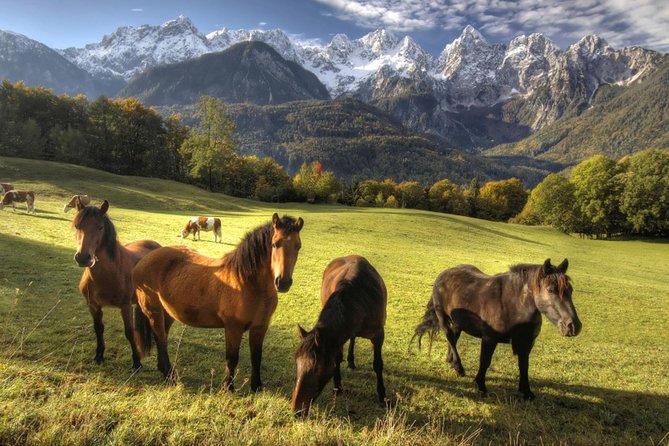 Horse Riding in Bled - What the three hours feel like