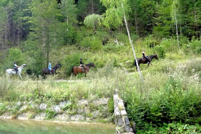 Horse Riding in Bled - Getting comfortable before the trail