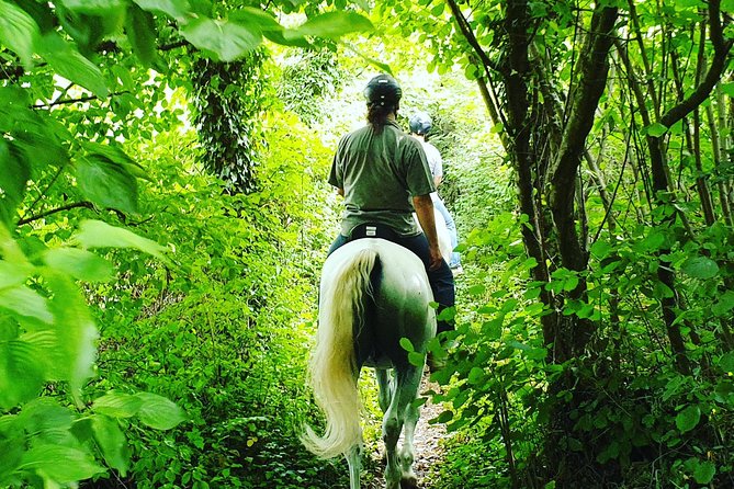Horseback Riding In Bled - Practical Details for a Smoother Ride