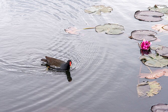 I LOV IT - Tivoli Park Tour - Two mansions, a pond, and public art