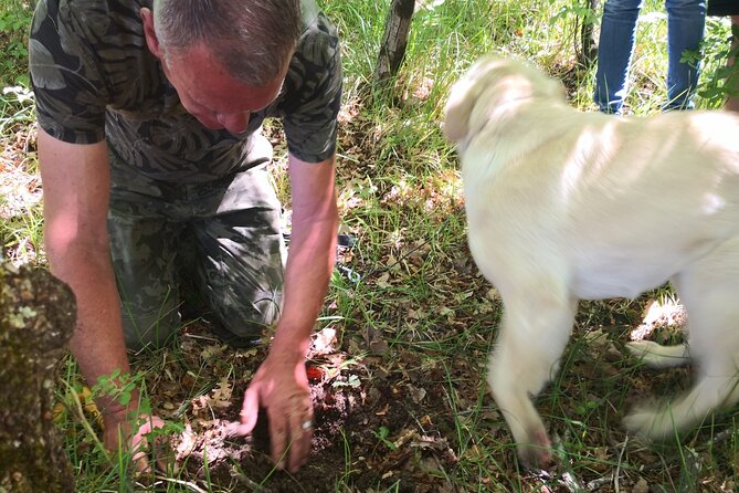 Istria - Truffles: Hunting & Cooking & Tasting, Slovenia - Who will enjoy it most?
