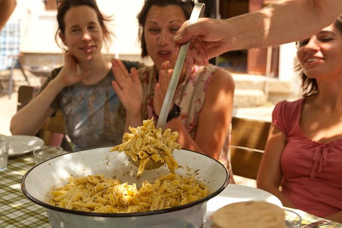 Istria - Truffles: Hunting & Cooking & Tasting, Slovenia - Walking into the forest with the truffle hunter