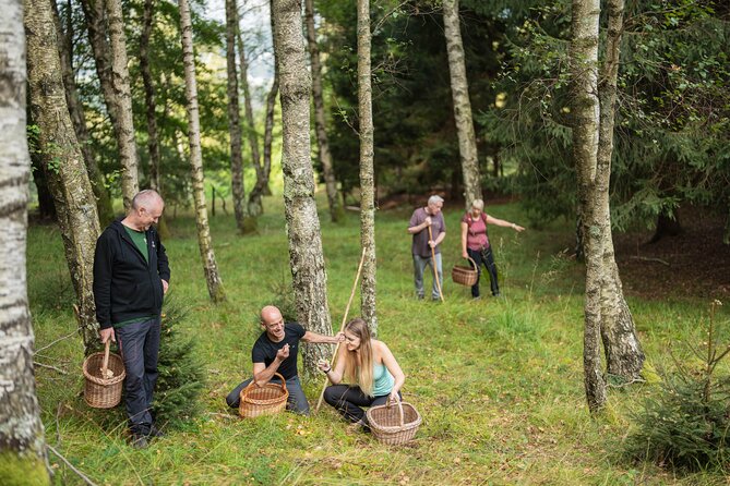 It Smells Like Mushrooms - Returning with a basket of edible mushrooms