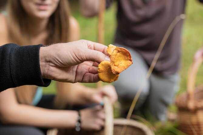 It Smells Like Mushrooms - Cooking your own mushroom lunch