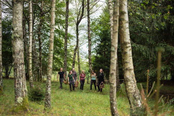 It Smells Like Mushrooms - Into the Bovec forest with two local experts