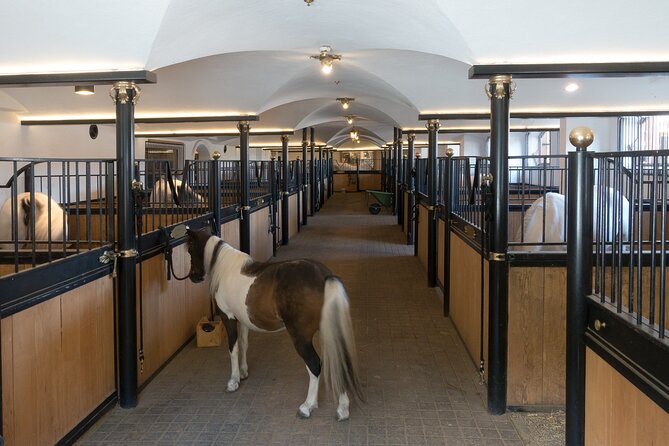 Lipica Stud Farm and Skocjan Caves from Koper - Who Will Enjoy This Day Out?
