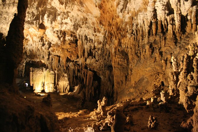 Lipica Stud Farm and Skocjan Caves from Koper - What to Know Before You Book