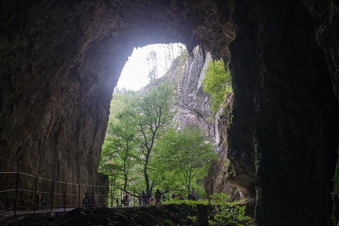 Lipica Stud Farm and Skocjan Caves from Piran or Portoroz or Izola - Why Lipica and Škocjan Caves work together