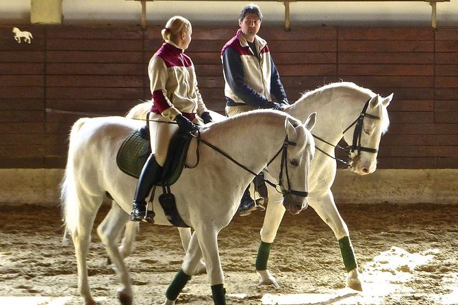 Lipica Stud Farm and Skocjan Caves from Piran or Portoroz or Izola - Guide support and the small-group format