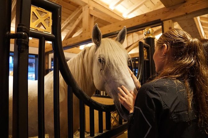 Lipica Stud Farm and Skocjan Caves from Piran or Portoroz or Izola - Practical advice before you reserve