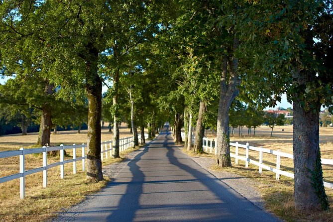 Lipica Stud Farm- Private Experience from Koper - What the $707.45 group price really means