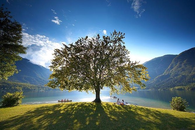 Ljubljana Airport- Lake Bled or vice versa. Private transfer. - Key points at a glance