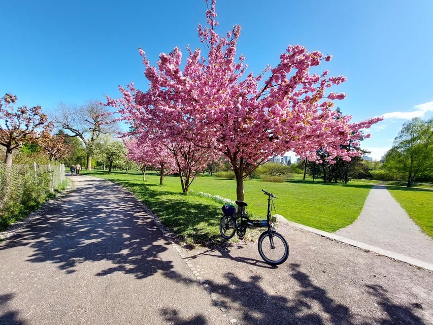 Ljubljana by E-Bike: Guided City Highlights Tour - Timing, Flexibility, and Cancellation