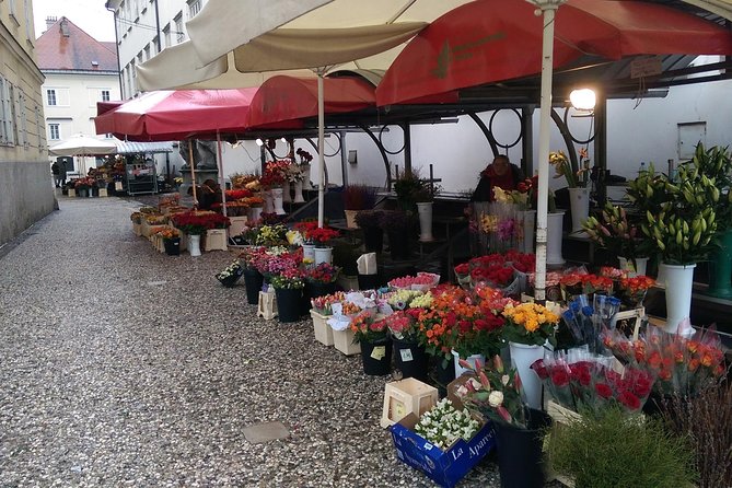 Ljubljana City Tour Including Ljubljana Castle - What the $107.41 price includes
