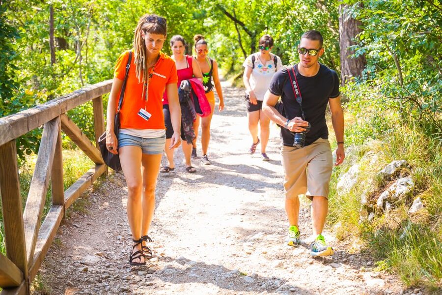 Ljubljana: Karst & Coast Full-Day Trip - The pace, vehicle, and small-group setting