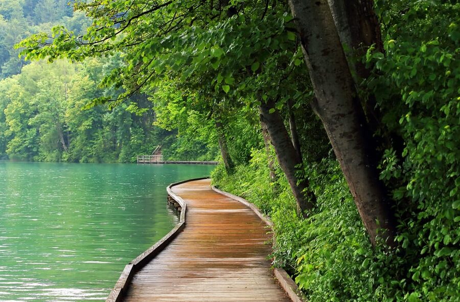 Ljubljana: Lake Bled, Postojna Cave, and Predjama Day Tour - Bled Castle: pay for the view first