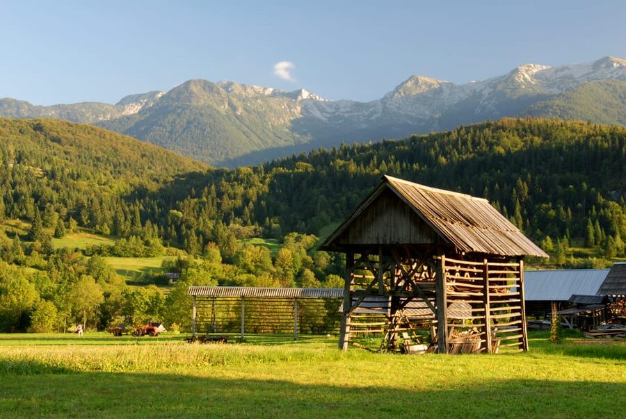Ljubljana: Lake Bled & Triglav National Park Full-Day Trip - FAQ