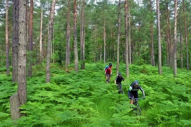 Ljubljana MTB Capital tour (e-bike enduro/all mountain) - What the $143.29 price includes in value