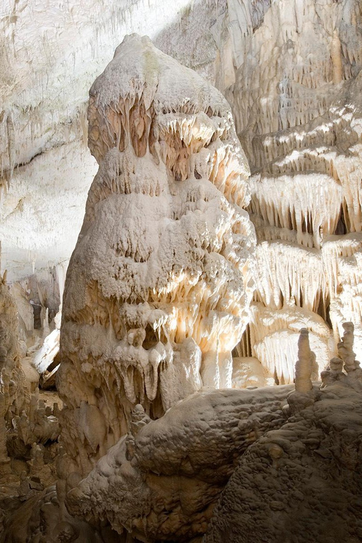 Ljubljana: Postojna Cave and Predjama Castle Tour - How good is the guide service?