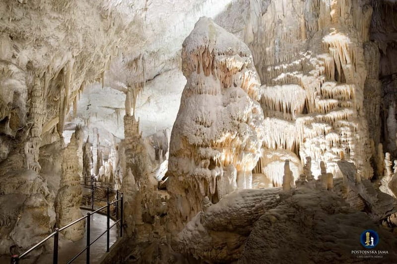 Ljubljana: Postojna Cave and Predjama Castle Tour - Postojna Cave: an underground ride with a brisk walking tour