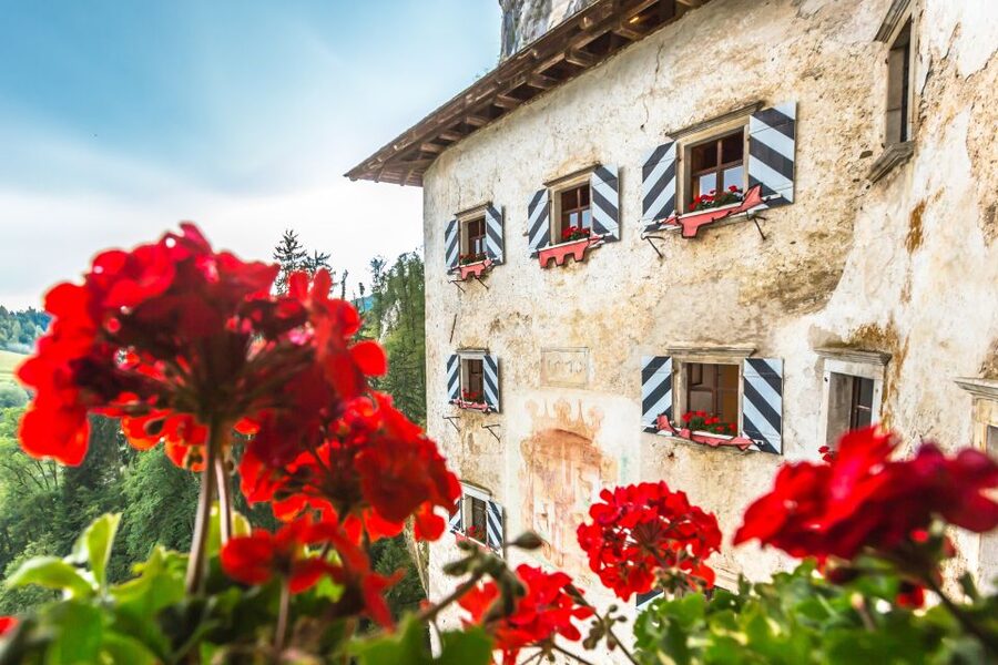 Ljubljana: Postojna Cave & Predjama Castle Tickets and Tour - Who should book this half-day outing?