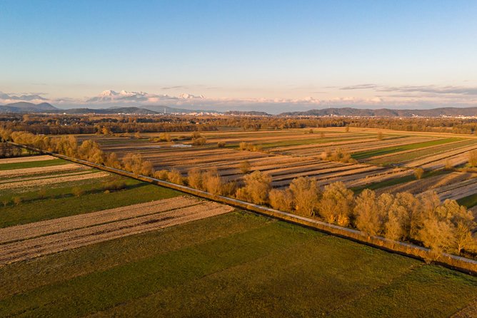 Ljubljana's Marshes Cycling Tour - Why Ljubljana’s Marshes make a good half-day outing