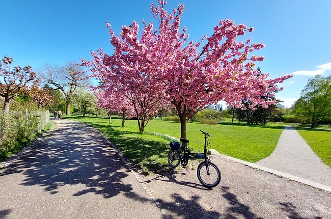 Ljubljana Sightseeing Tour by Electric Bikes - Who will get the most from this ride