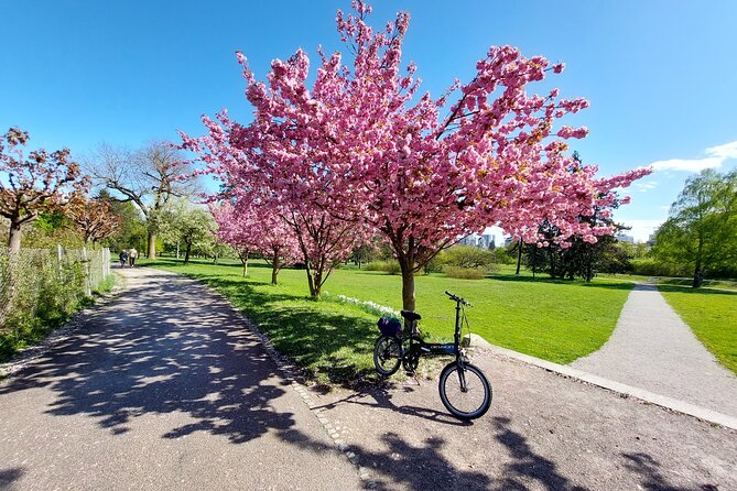 Ljubljana Sightseeing Tour by Electric Bikes - Should you book the Ljubljana electric-bike tour?