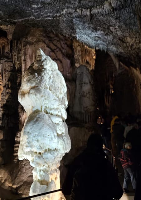 Ljubljana to Postojna Cave,Predjama Castle and Postojna park - Key points at a glance