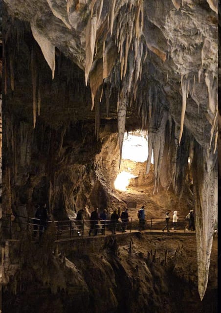 Ljubljana to Postojna Cave,Predjama Castle and Postojna park - Who will enjoy this seven-hour outing