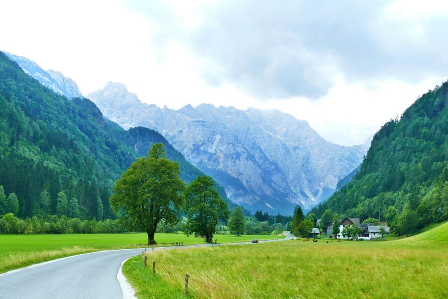 Logar Valley Day trip from Ljubljana - Who Will Enjoy This Outing Most