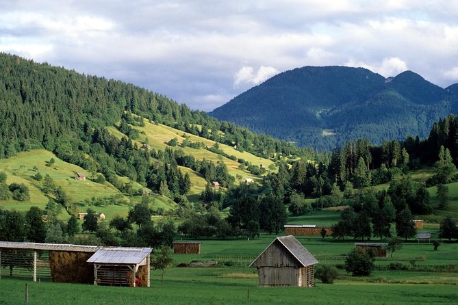 Magic of Alps, Triglav NP with Lake Bohinj & Waterfall Savica, HD Trip from Ljub - Key points at a glance