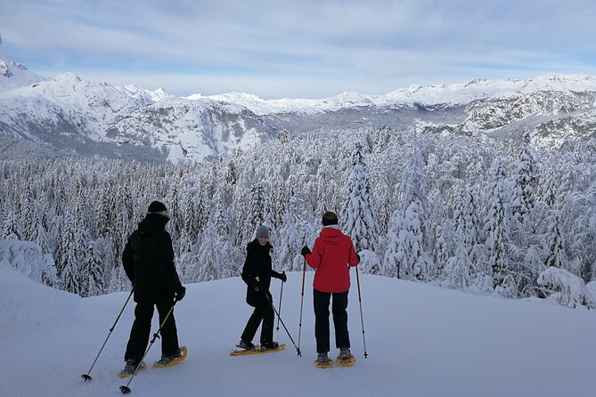 Magical Snowshoeing in Bohinj valley - Safety, fitness, and equipment