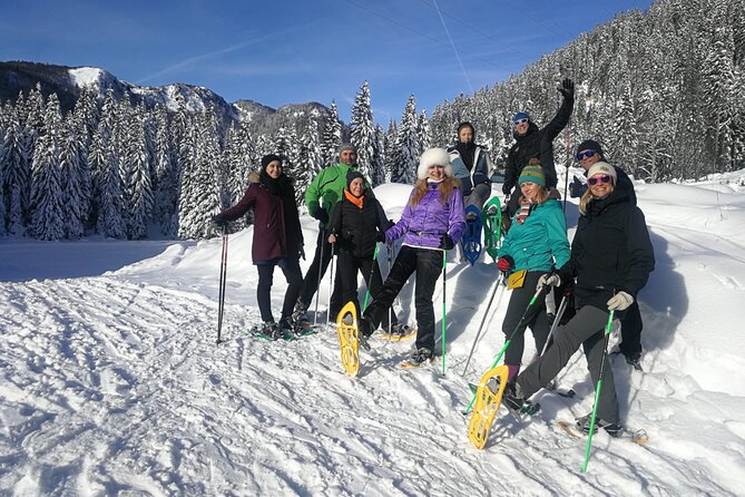 Magical Snowshoeing in Bohinj valley - Is $120 a fair price?