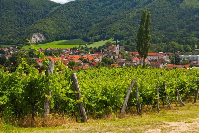 Maribor & Styria Tour with Wine Tasting - Key points at a glance