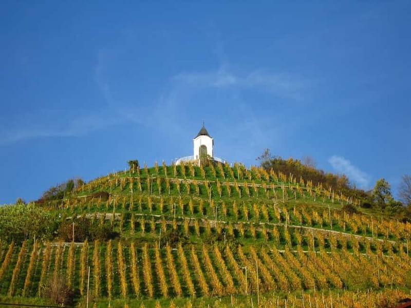 Maribor & Styria Tour with Wine Tasting - What the $123 price really covers