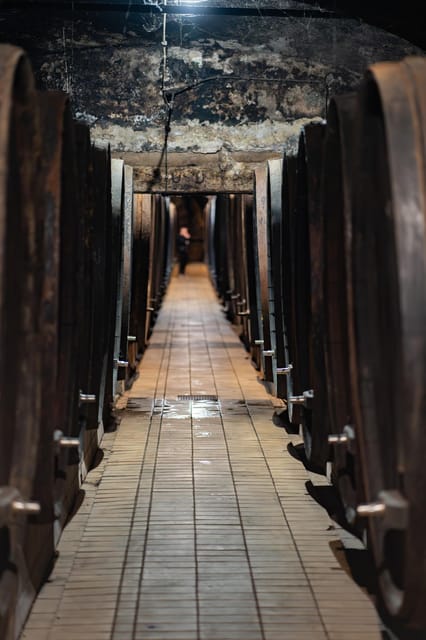 Maribor: Vinag Wine Cellar Tour with Wine tasting and snacks - What the 45-minute guided tour actually gives you