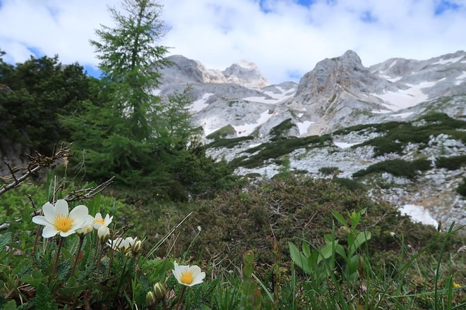 Mighty Mount Triglav Climb-summer Special-join Group - Practical details that can make the day better