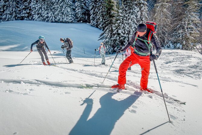 One Day Ski Touring Workshop - Avalanche training that goes beyond a token briefing