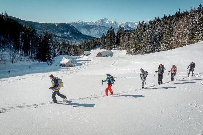 One Day Ski Touring Workshop - A flexible plan shaped by snow and weather