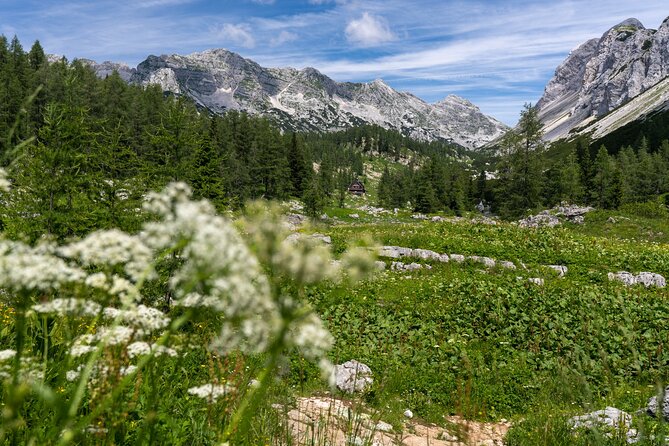 Panoramic Hike in Julian Alps - From Bled to Pokljuka Plateau